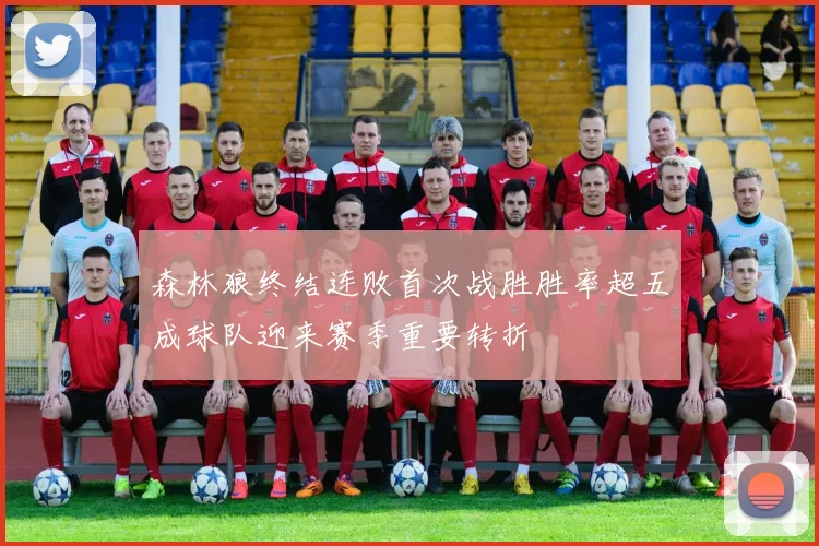 森林狼终结连败首次战胜胜率超五成球队迎来赛季重要转折