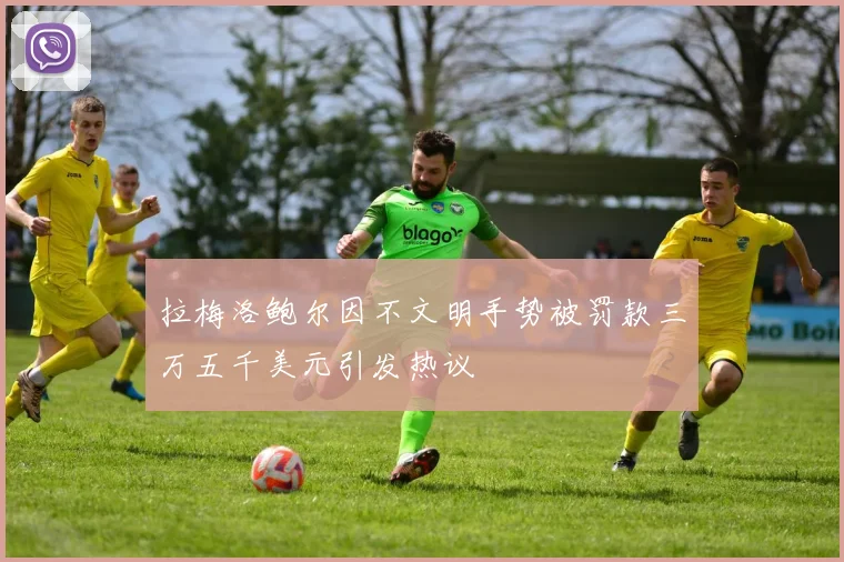 拉梅洛鲍尔因不文明手势被罚款三万五千美元引发热议