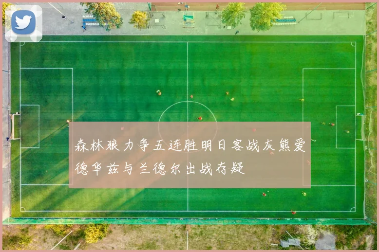 森林狼力争五连胜明日客战灰熊爱德华兹与兰德尔出战存疑