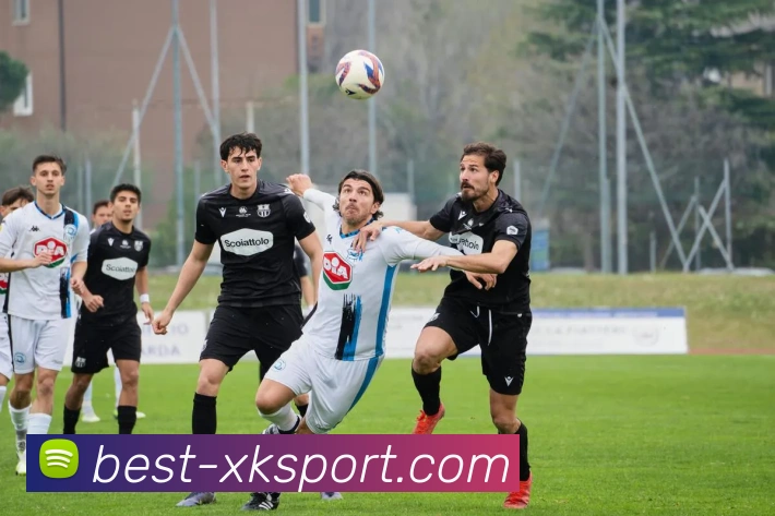 星空体育APP 封面图